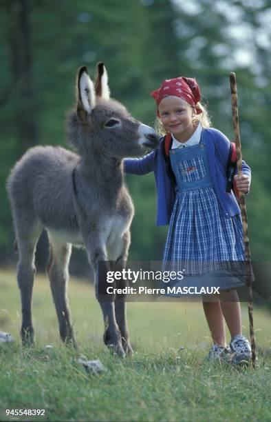 Hiking on donkeyback. Randonn?e ? dos d'ane.