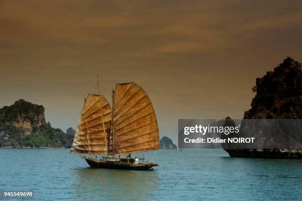 BAIE D'HALONG SAMPAN.