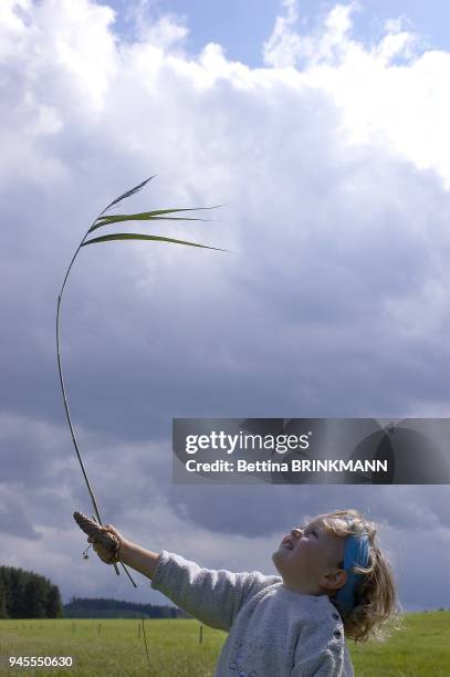 Une fille de 3 ans fait bouger une grande herbe dans le ciel.