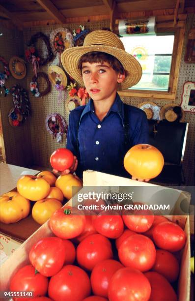 AMISH EN PENNSYLVANIE.