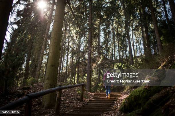 Woman walks through a forest in Saxon Switzerland on April 07, 2018 in Rathen, Germany.