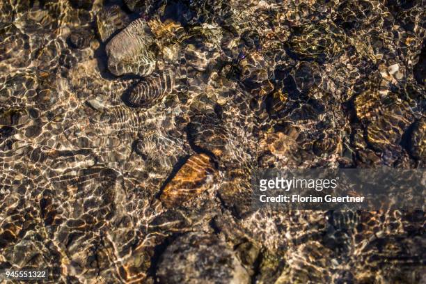 Close-up of crystal clear water in a stream on April 07, 2018 in Rathen, Germany.