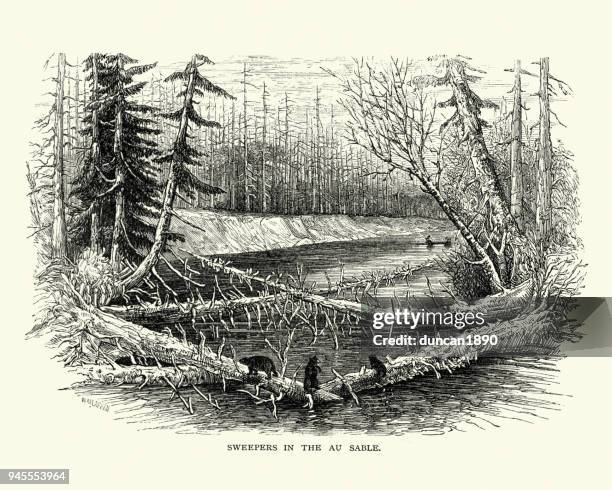 logs blocking the au sable river in michigan, 19th century - michigan landscape stock illustrations
