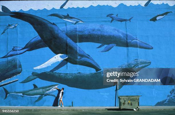 Peinture murale repr?sentant des requins et des baleines, avec un homme devant dont le bras se fait mordre par un des resuins dessin?s. Peinture...