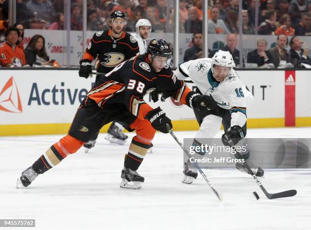 Derek Grant of the Anaheim Ducks and Eric Fehr of the San Jose Sharks fight for the puck in the second period in Game One of the Western Conference...