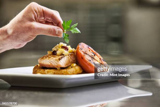 close-up of a chefs hands adding a garnish to a salmon dinner plate. - essbare verzierung stock-fotos und bilder