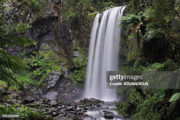 HOPETOUN FALLS ON AIRE RIVER, GREAT OTWAY NATIONAL PARK, VICTORIA, AUSTRALIA.