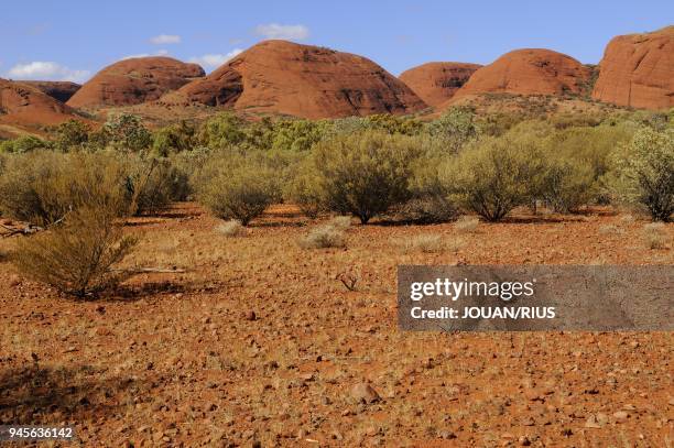KATA TJUTA-MONTS OLGA, ULURU-KATA TJUTA NATIONAL PARK, NORTHERN TERRITORY, AUSTRALIA.