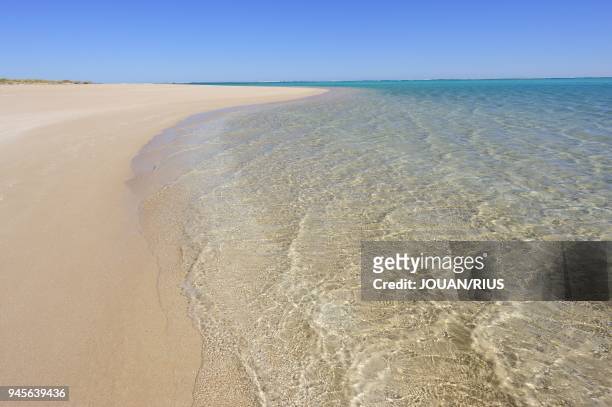WHITE SAND BEACH IN EXMOUTH PENINSULA, CORAL COAST, WESTERN AUSTRALIA, AUSTRALIA.