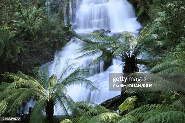 TRIPLET FALLS ON AIRE RIVER, GREAT OTWAY NATIONAL PARK, VICTORIA, AUSTRALIA.