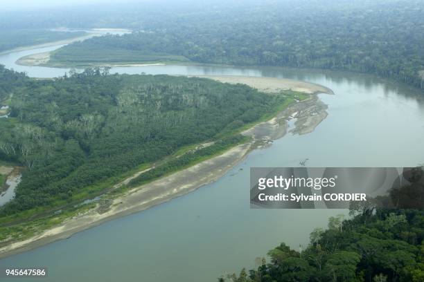 Foret tropicale.Tambopata nature reserve. Peru Arbre a contrefort Tropical forest Upstream from Puerto Maldonado, the Tambopata Nature Reserve is a...