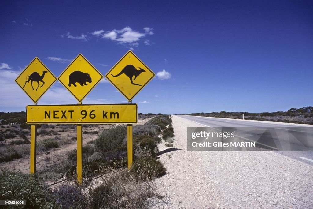 Nullarbor Signposts Eyre HWY, Nullarbor Plain, Australia, this sign is here to remind ...