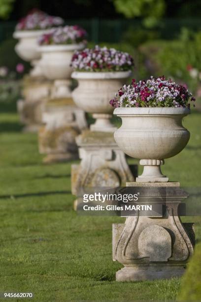 Touraine, castle of Chenonceau, spring, flowerpot in the gardens of the castel of Chenonceau.