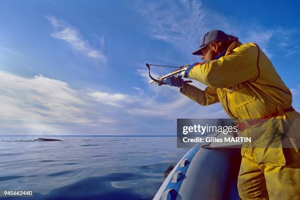 Longue Pointe de Mingan, Quebec - Strait of Belle Isle, Labrador, Canada, summer,looked at the front of the boat, Richard Sears launches an arrow on...