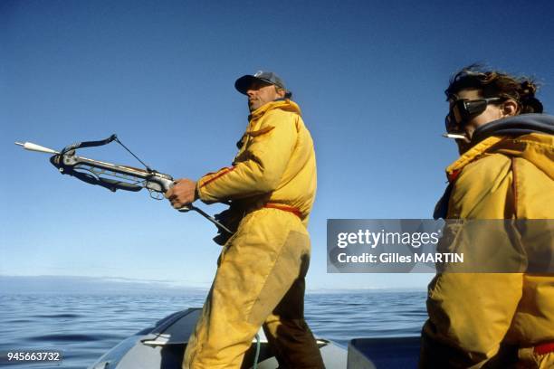 Longue Pointe de Mingan, Quebec - Strait of Belle Isle, Labrador, Canada, summer, Richard Sears' arrow has a special tip. It enables to take...