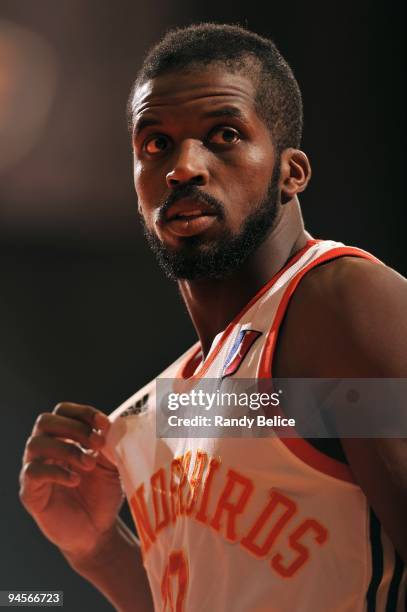 Anthony Danridge of the Albuquerque Thunderbirds looks on during the NBA D-League game against the Los Angeles D-Fenders on November 28, 2009 at...