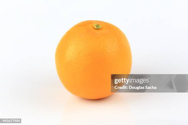 freshly picked orange fruit on a white background (citrus reticulata) - dekopon stock pictures, royalty-free photos & images