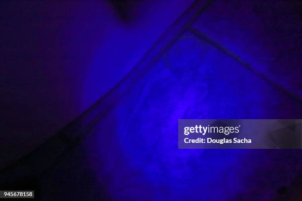 light beam of ultraviolet (uv) black-light illuminating the glowing urine - infrared lamp stockfoto's en -beelden