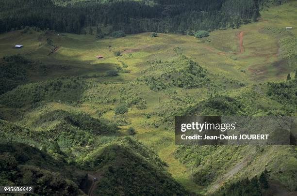 VALLEE, NUKU HIVA, ILES MARQUISES, POLYNESIE FRANCAISE.