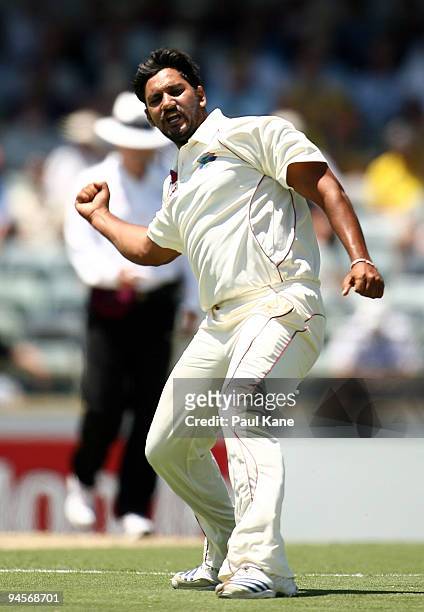Ravi Rampaul of the West Indies celebrates dismissing Michael Hussey of Australia during day two of the Third Test match between Australia and the...