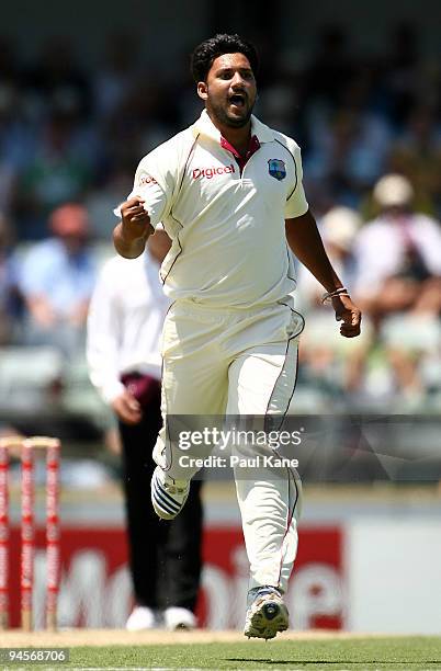 Ravi Rampaul of the West Indies celebrates dismissing Michael Hussey of Australia during day two of the Third Test match between Australia and the...