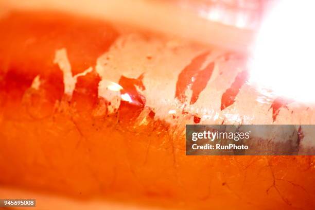 Cod Roe Texture Cod Roe Photos and Premium High Res Pictures - Getty Images
