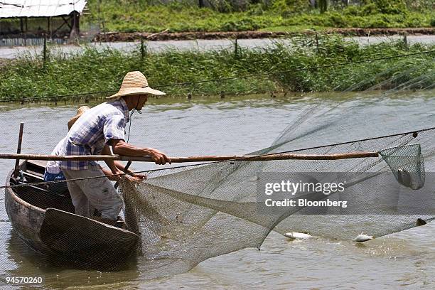 All Kinds Of Fish Photos and Premium High Res Pictures - Getty Images