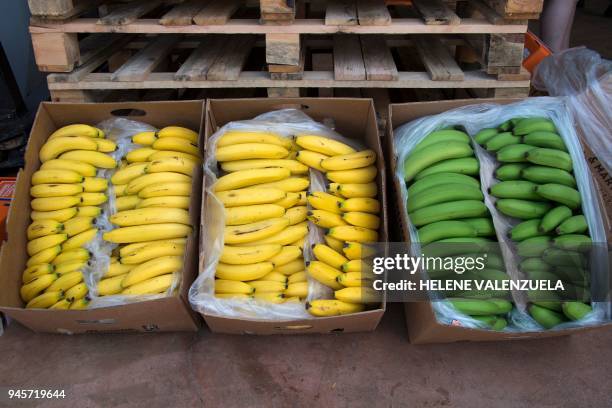 Boxes with bananas are pictured in the Changy-Dambas Banana procession plant in Capesterre Belle-Eau, in the French overseas region of Guadeloupe on...