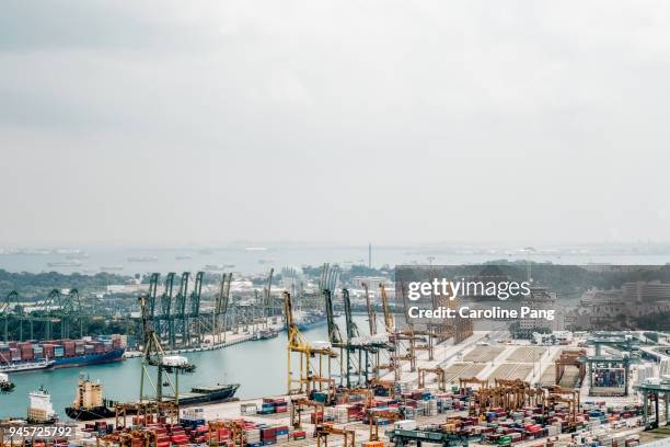 the port of singapore. - caroline pang stock pictures, royalty-free photos & images