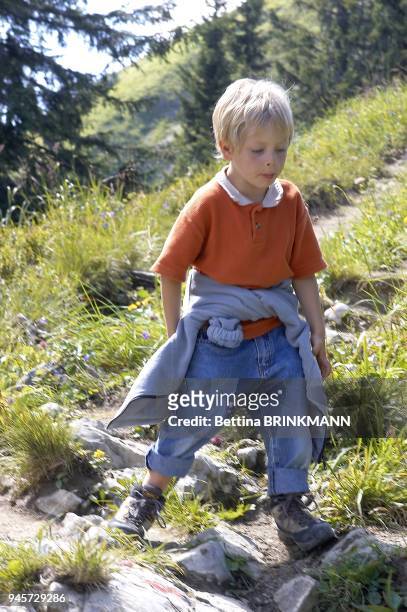 Un garcon de 5 ans descend une montagne sur un chemin jonche de cailloux.