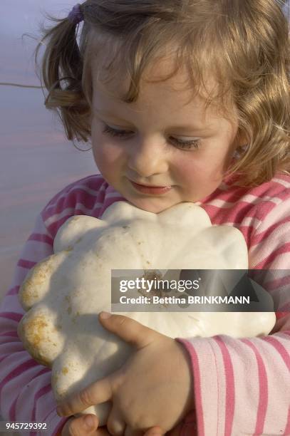 Une fille de 3 ans est dans une serre parmi des courges et tient un patisson blanc dans les mains.