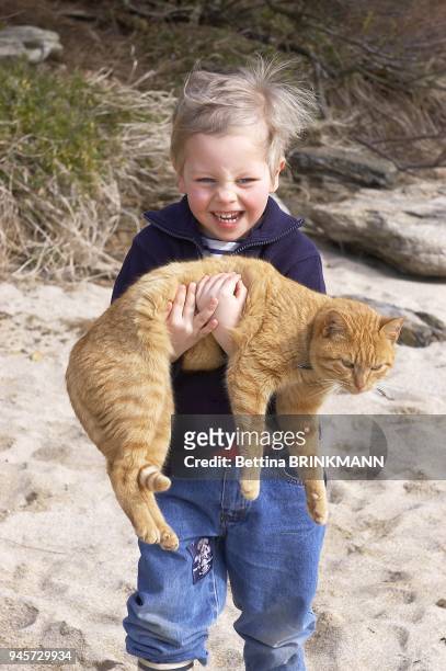 Un petit gar?on de 5 ans tenant un chat sur la plage ? Groix.