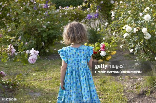 Une fille de 4 ans vue de dos, habill?e d'une robe ? fleurs, marche dans un jardin de roses portant un bouquet de roses ? la main.