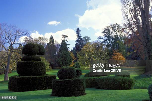 JARDIN DE HEVER CASTLE ANGLETERRE TOPIAIRES DE BUIS JARDIN DE HEVER CASTLE ANGLETERRE TOPIAIRES DE BUIS.