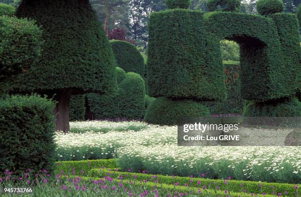 JARDIN DE LEVENS HALL ANGLETERRE TOPIAIRES DE BUIS JARDIN DE LEVENS HALL ANGLETERRE TOPIAIRES DE BUIS.