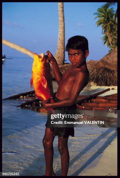 Les fruits de la mer, Maldives.