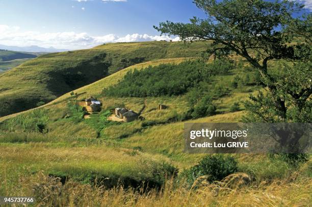 Paysage de collines herbeuses, huttes au toit de chaume. Paysage de collines herbeuses, huttes au toit de chaume.