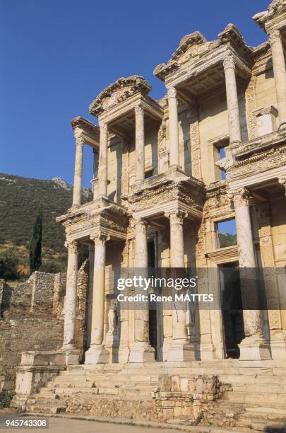 Celcus Celcus Photos and Premium High Res Pictures - Getty Images