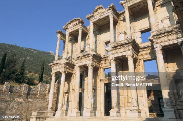 Celcus Celcus Photos and Premium High Res Pictures - Getty Images