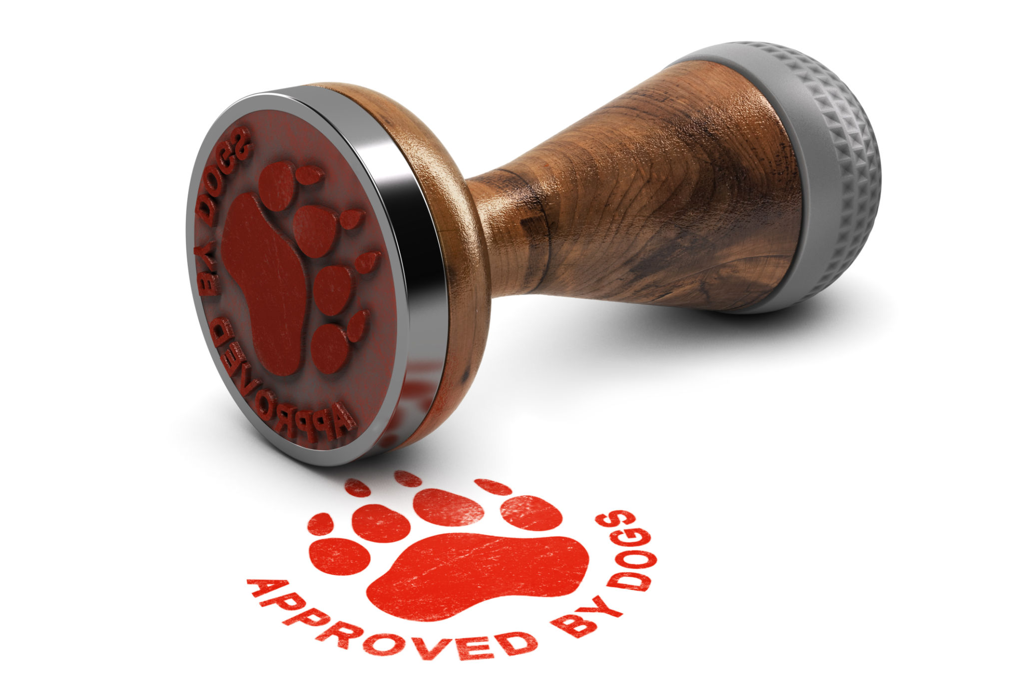 pet sitter certification