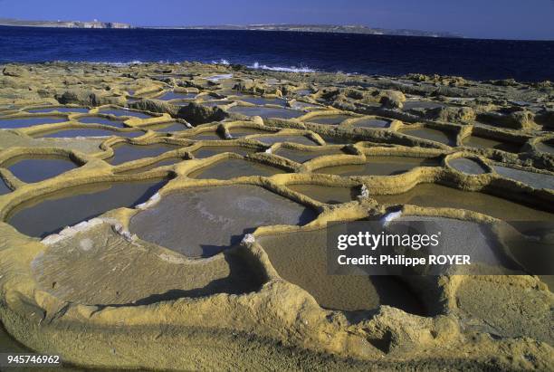 HOLES IN ROCK TO PRODUCE SEA SALT GOZO ISLAND MALTA.