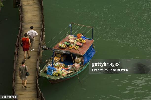 Tourisme dans la baie d'Halong, Vietnam.