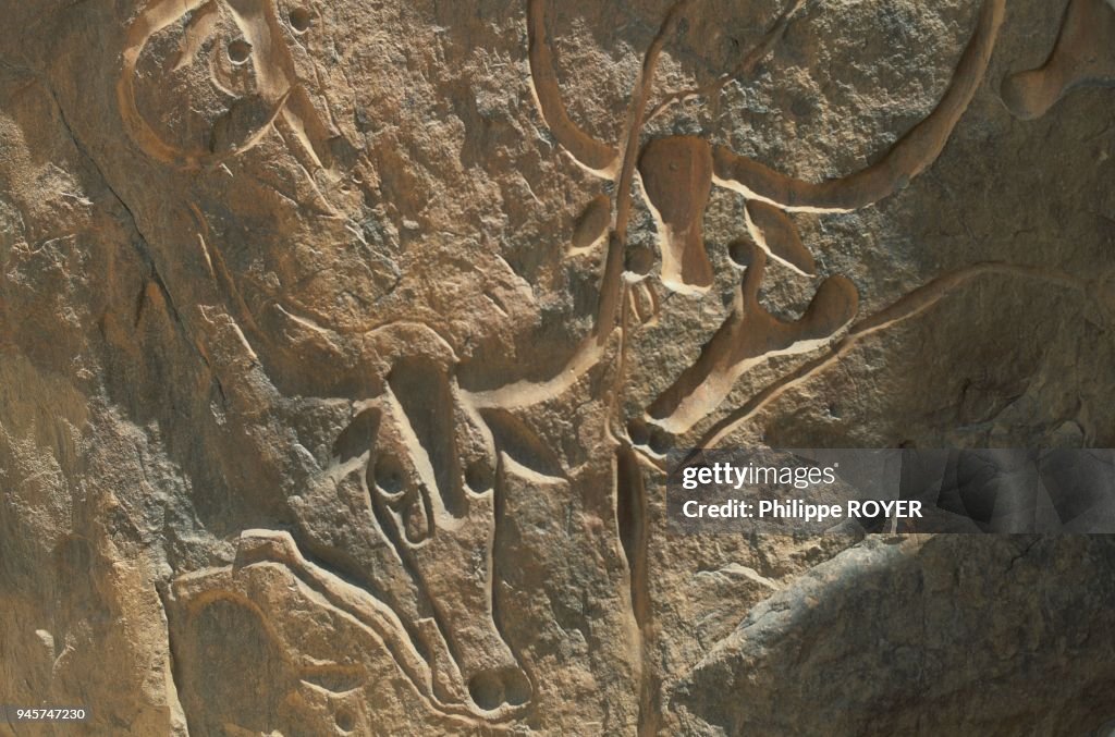 LA VACHE QUI PLEURE GRAVEE IL Y A 8000 ANS , TASSILI N'AJJER, SUD ALGERIE