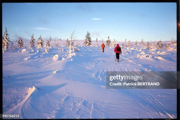 Skieurs de fond ? Kiilopaa, Finlande.