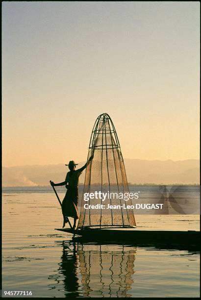 Cheur ramant ? l'aide de sa jambe sur le lac Inle, Etat Shan, Birmanie.