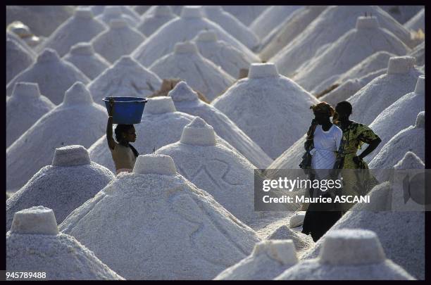 Also called Lake Retba, it is exploited for its salt. Appel? aussi lac Retba, il est exploit? pour son sel.