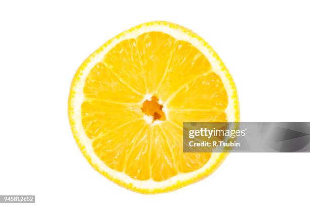 slice of lemon fruit - slice of lemon foto e immagini stock