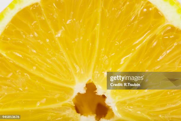 Circular Lemon Circular Lemon Slice Photos and Premium High Res Pictures - Getty Images