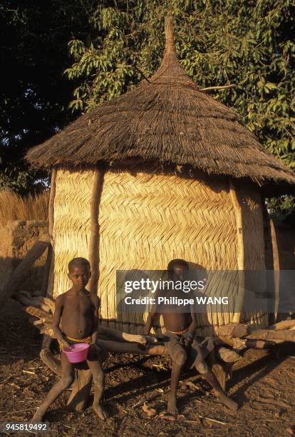 GRENIERS A CEREALES, REGION DE MPOTI, MALI.