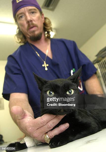 Veterinarian L. Snyder, Jr. Checks on the condition of Midnight, a domestic short-hair cat that has been diagnosed with Renal failure from eating...